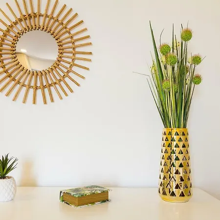 Da - Surf * 마토지뉴스